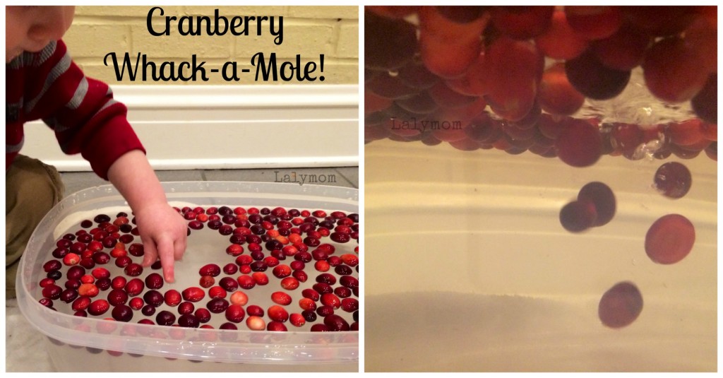 DIY Whack-a-Mole Game Using Cranberries for Toddlers from Lalymom