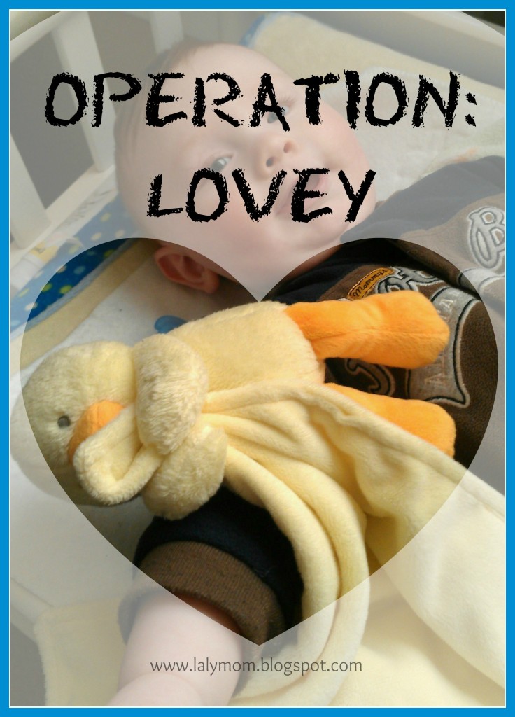 Operation: Lovey – Tips on Introducing a Lovey