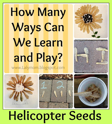 Kids activities using Helicopter Seeds or Maple Seeds or Whirleygigs from Lalymom