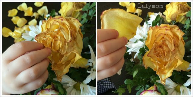 Plucking Flower Petals: 10 Fine Motor Plays for Kids from Lalymom #FineMotor