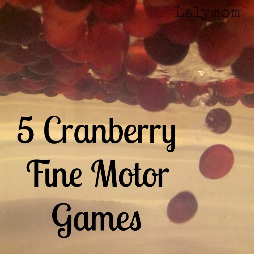 Thanksgiving Fine Motor Games for Kids Using Cranberries from Lalymom
