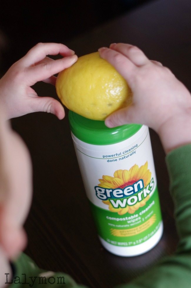 Lemon Electricity Experiment - 4 Extension Ideas to Learn from Lemons sponsored by Green Works