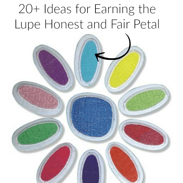 Over 20 Ideas for earning your honest and fair Daisy Lupe Petal