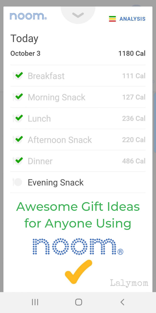 My Favorite Gifts and Tools for Noom Users #Noom #Healthy