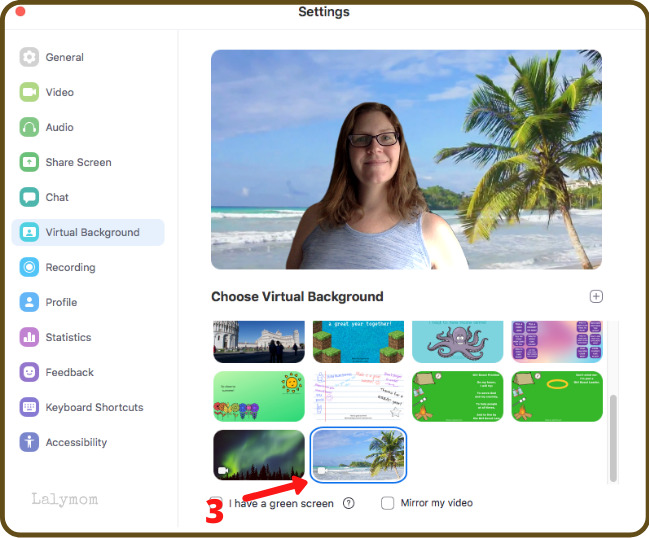 How To Change The Background On Zoom, How To Change Zoom Background Mirror Image