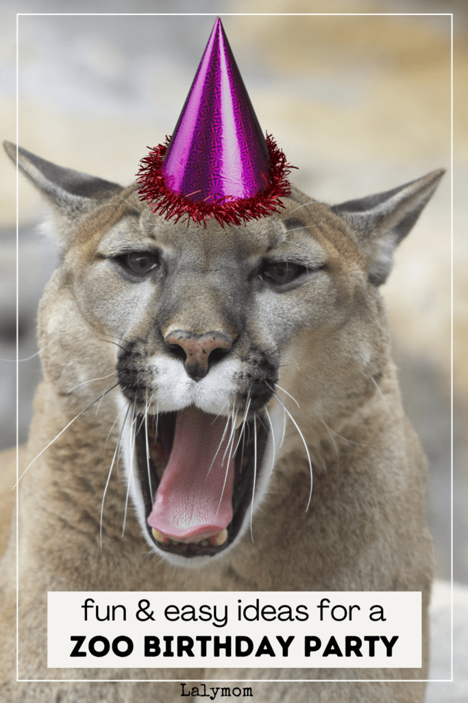 Photo of a mountain lion photo shopped with party hat. Text reads fun & easy ideas for a zoo birthday ideas 
