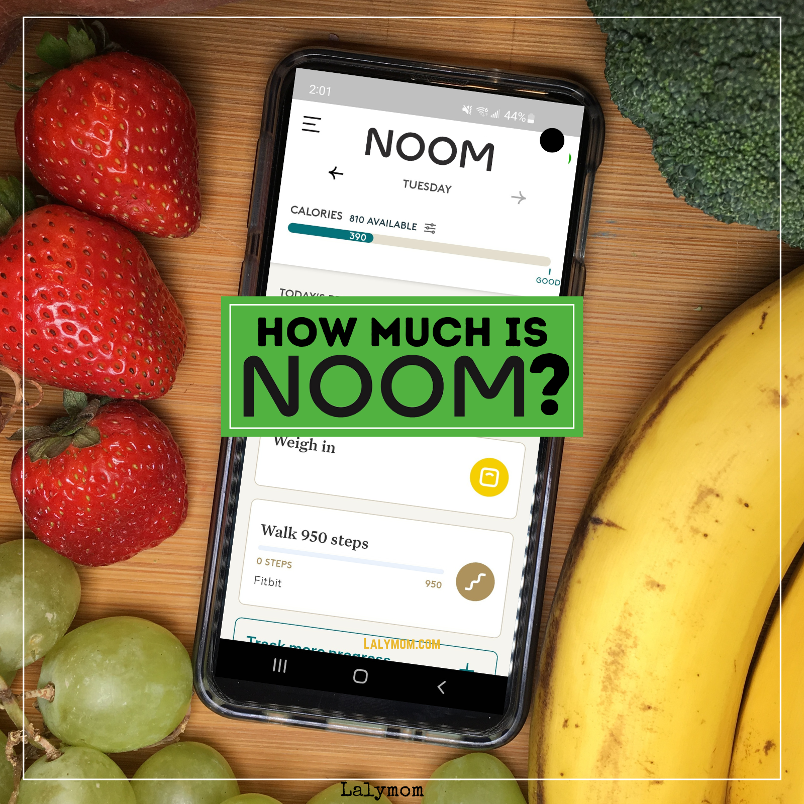 2024 Noom Cost? Get the Cheapest Option With All the Features!